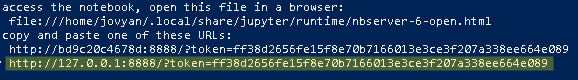 ../../_images/docker_jupyter_server_url.png